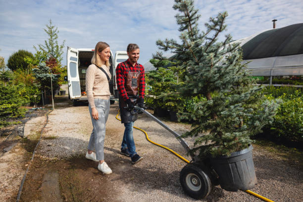 Best Tree Health Inspection  in Merkel, TX